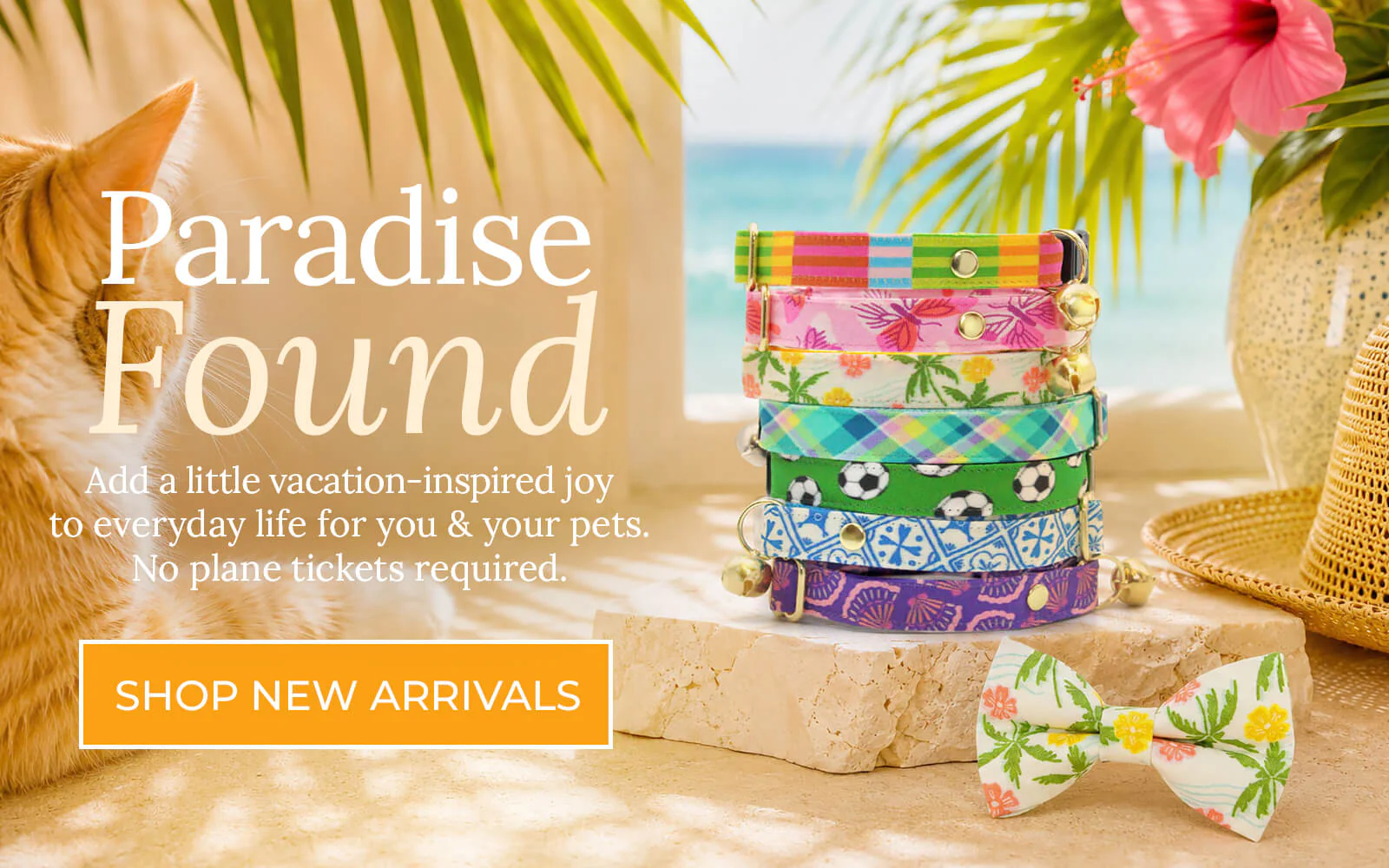 Style That Purrs With Personality
